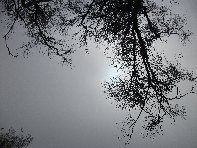 nte Fontane-201011107 057
